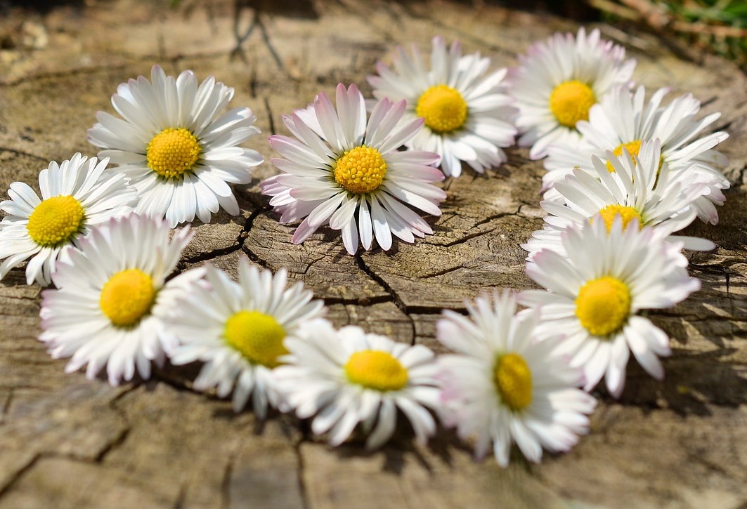 In liefde…